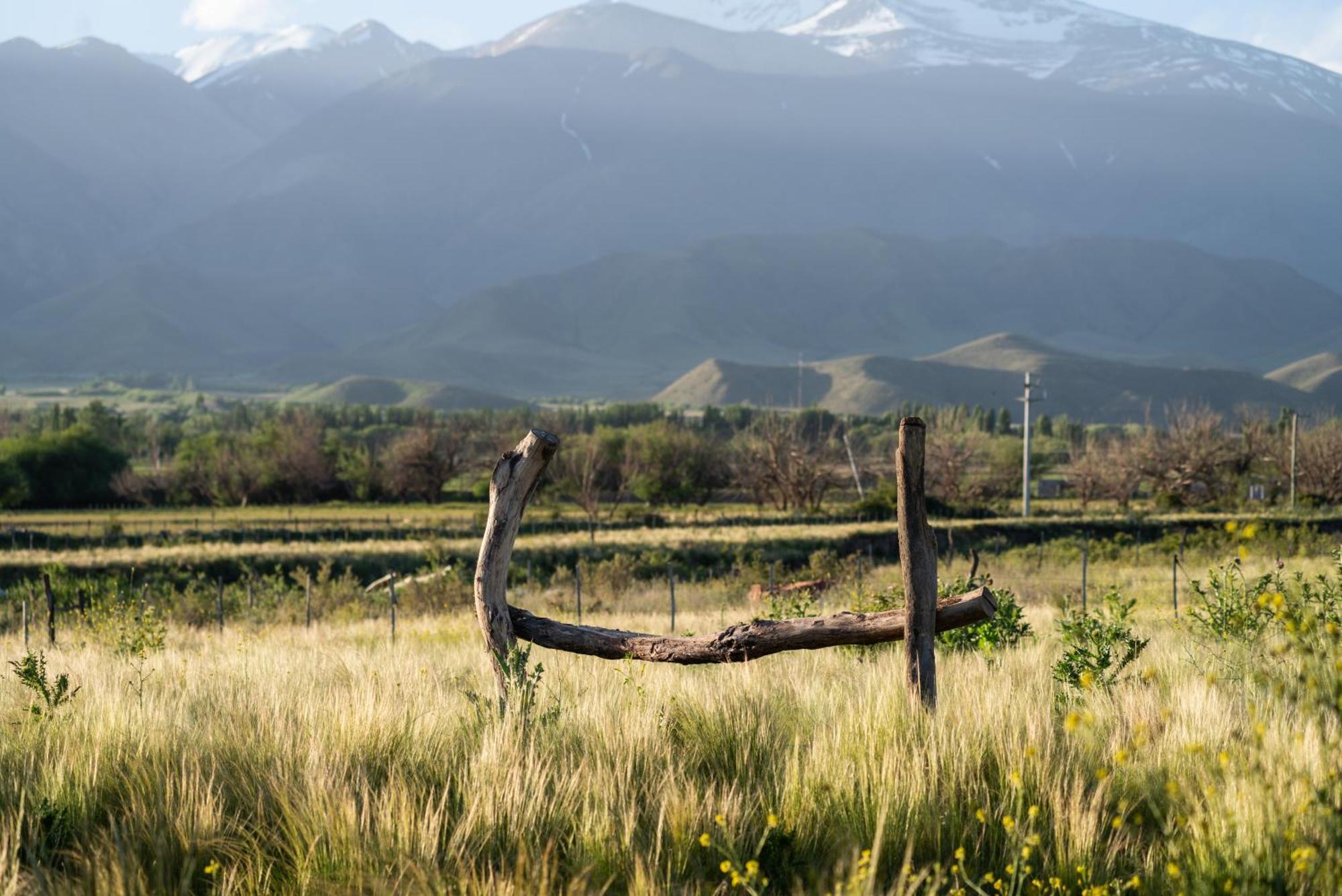 Rancho Adobe Eco Hotel Tupungato Exteriör bild